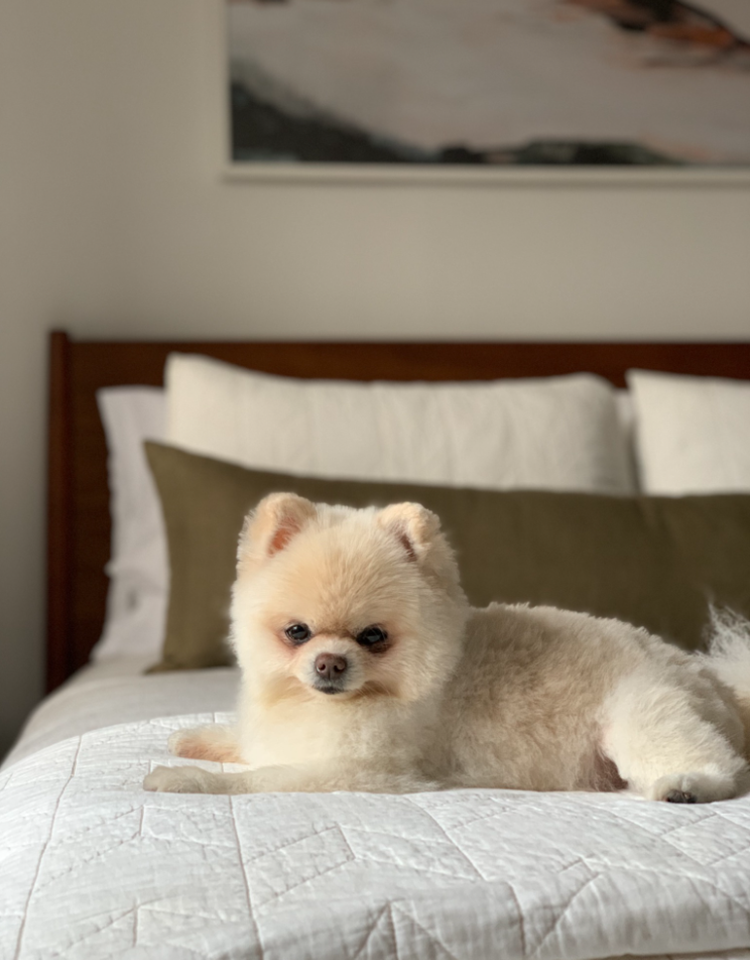 Screen Shot 2023-05-15 at 12.51 1.png