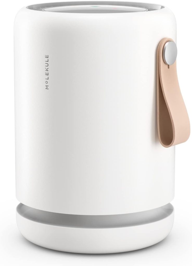 image of molekule air purifier mini+